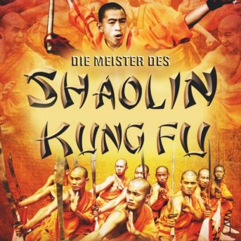DieMeisterDesShaolinKUNGFU